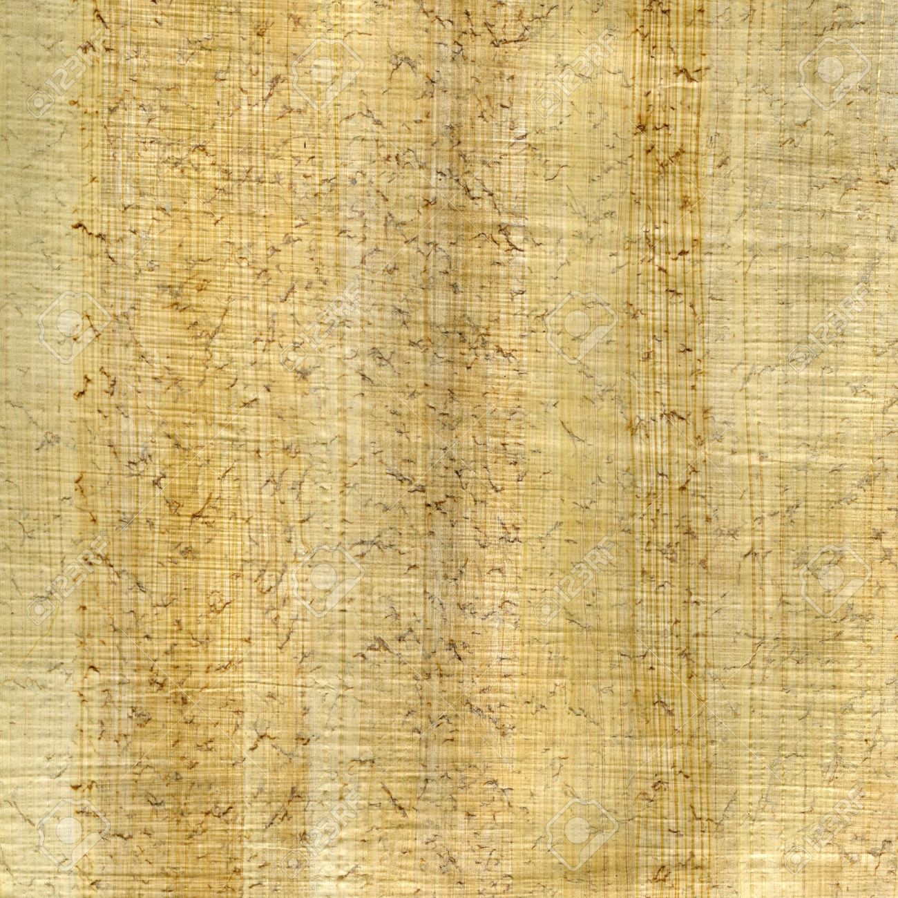 Featured image of post Textura Papiro Encontre m s im genes de alta resoluci n en la colecci n de istock que tiene un banco de fotos de adulto disponible para descargar f cilmente